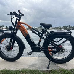 E Bike 1000x2 Two Motor 