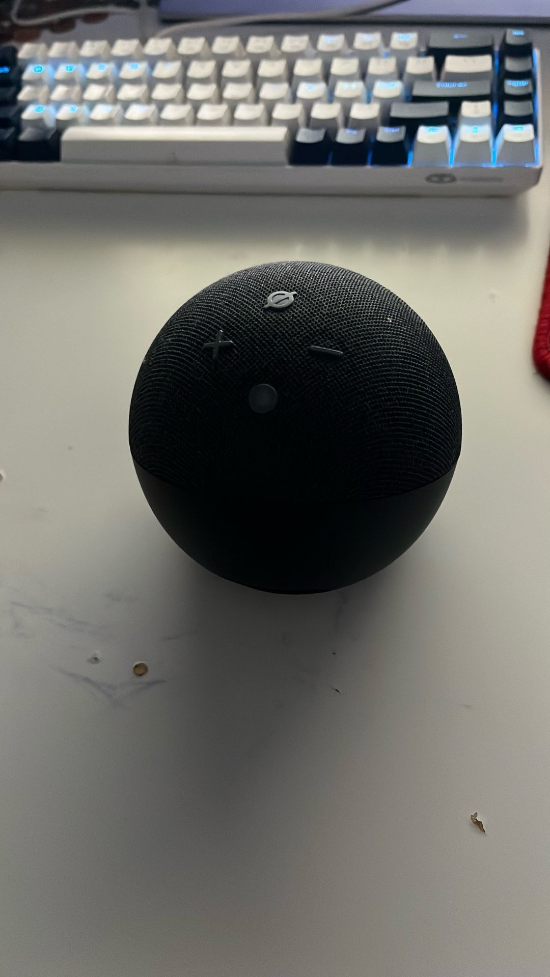 echo dot