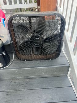 Fan