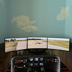 Flight Simulator 