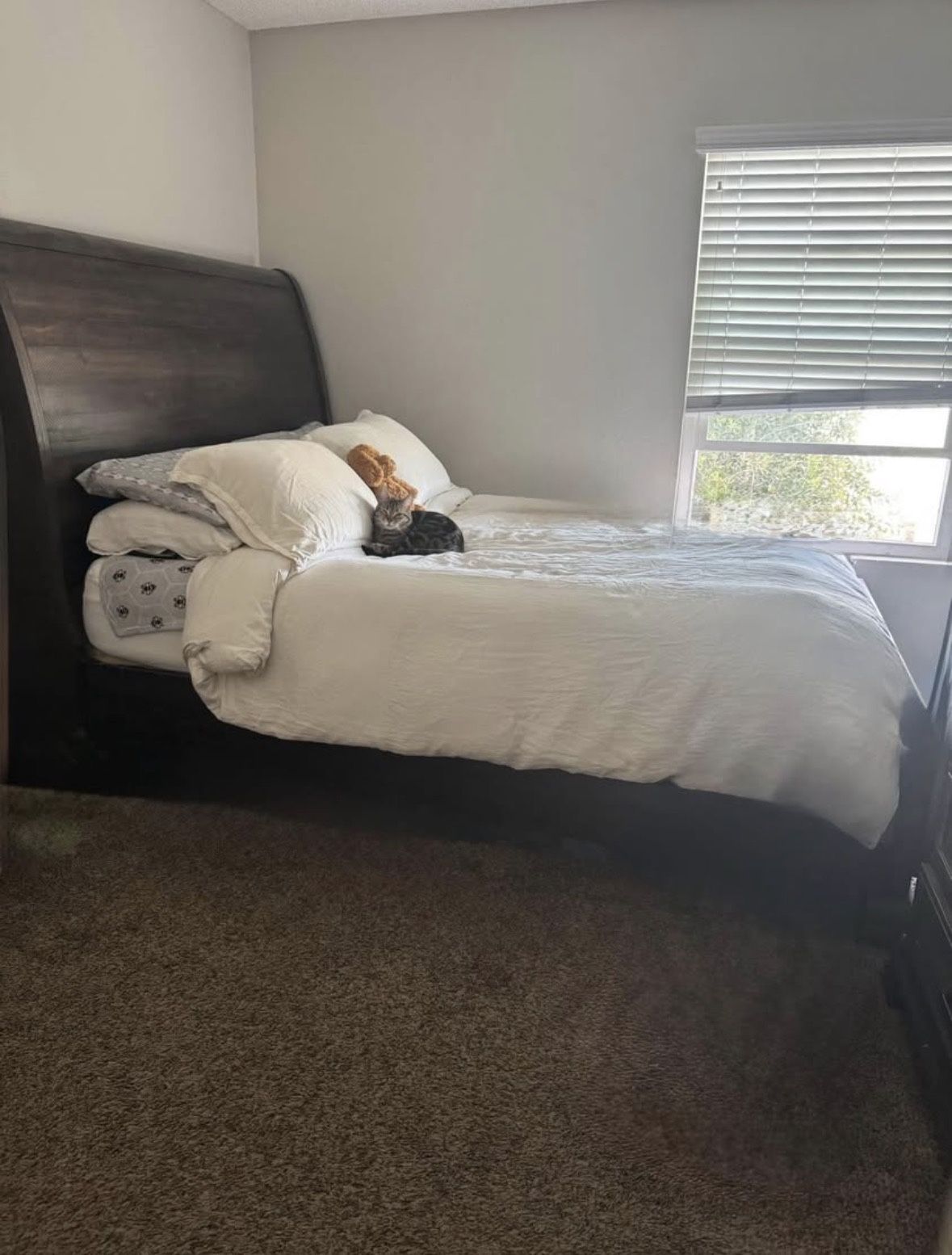 Bed Frame (Mattress not included) 