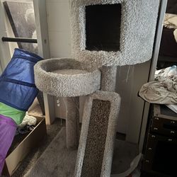Cat Tower