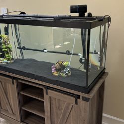 Aquarium For Sale