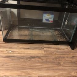 20 Gallon Fish Tank 