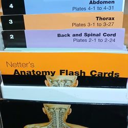 Anatomy Flash Cards