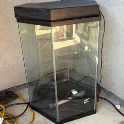 Fish Tank For 50 