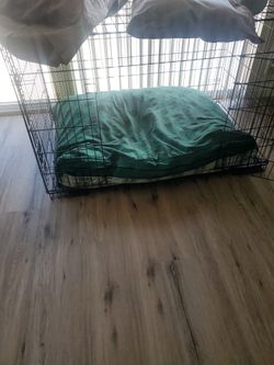 Dog Bed And Crate My Pillow