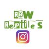 Raw Reptiles