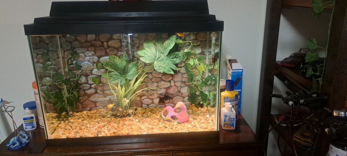 Brand New Fish Tank 29 Gal High 