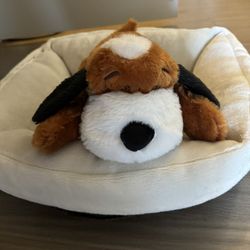 Puppy Bed And Faux Indoor Grass Pad 
