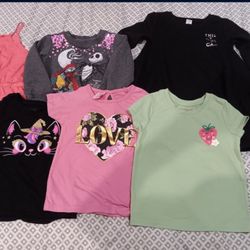 Toddler Girl Size 4T