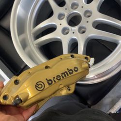 Brembo Calipers