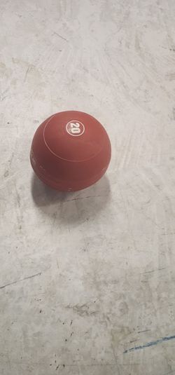 20 lb Rogue Echo Slam Ball