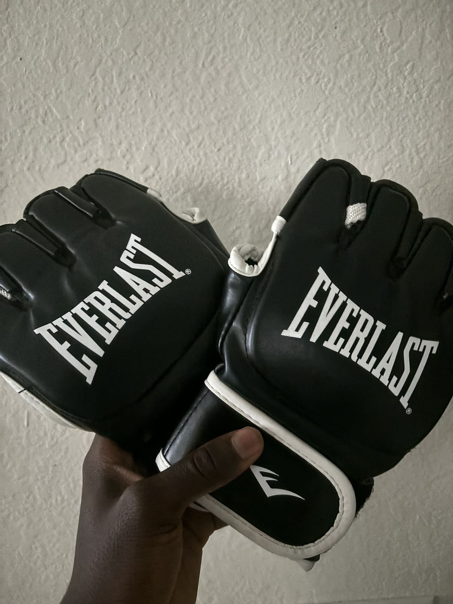 EVERLAST Fighting Gloves