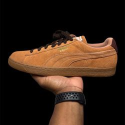Puma Brown