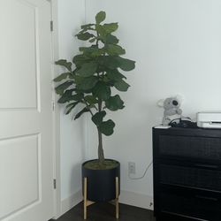 Faux Tree/plant 