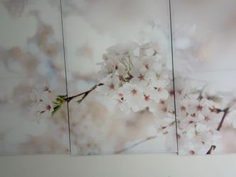 Cherry Blossom Triptych Wall Art Panels