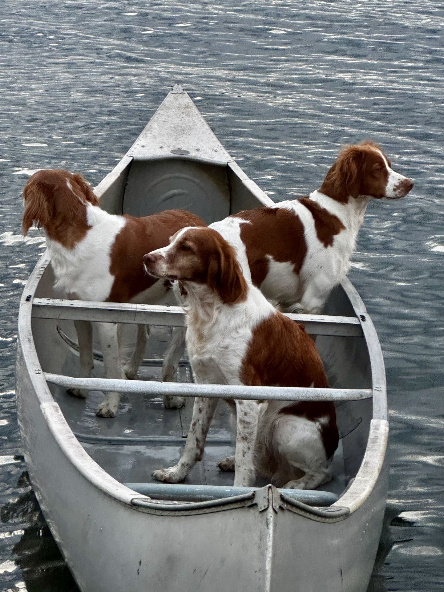 17 Grumman Canoe