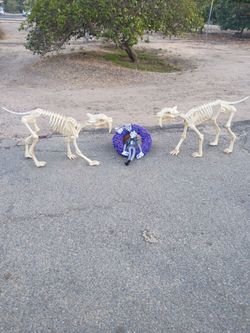 Halloween Decorations