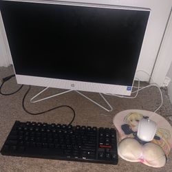 HP DESKTOP COMPUTER  