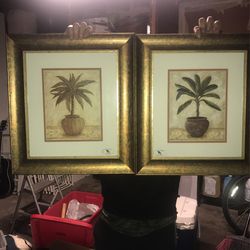Decoracion