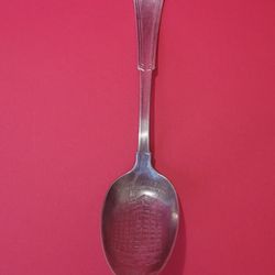 1881 Rogers A1 Weilt Co. Spoon - The Store With A Million Friends - 5.8"