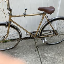 Vintage 26”  Skyway, three speed bike