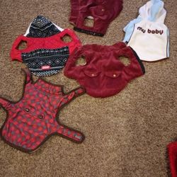 For Small Dogs 5.00 Each