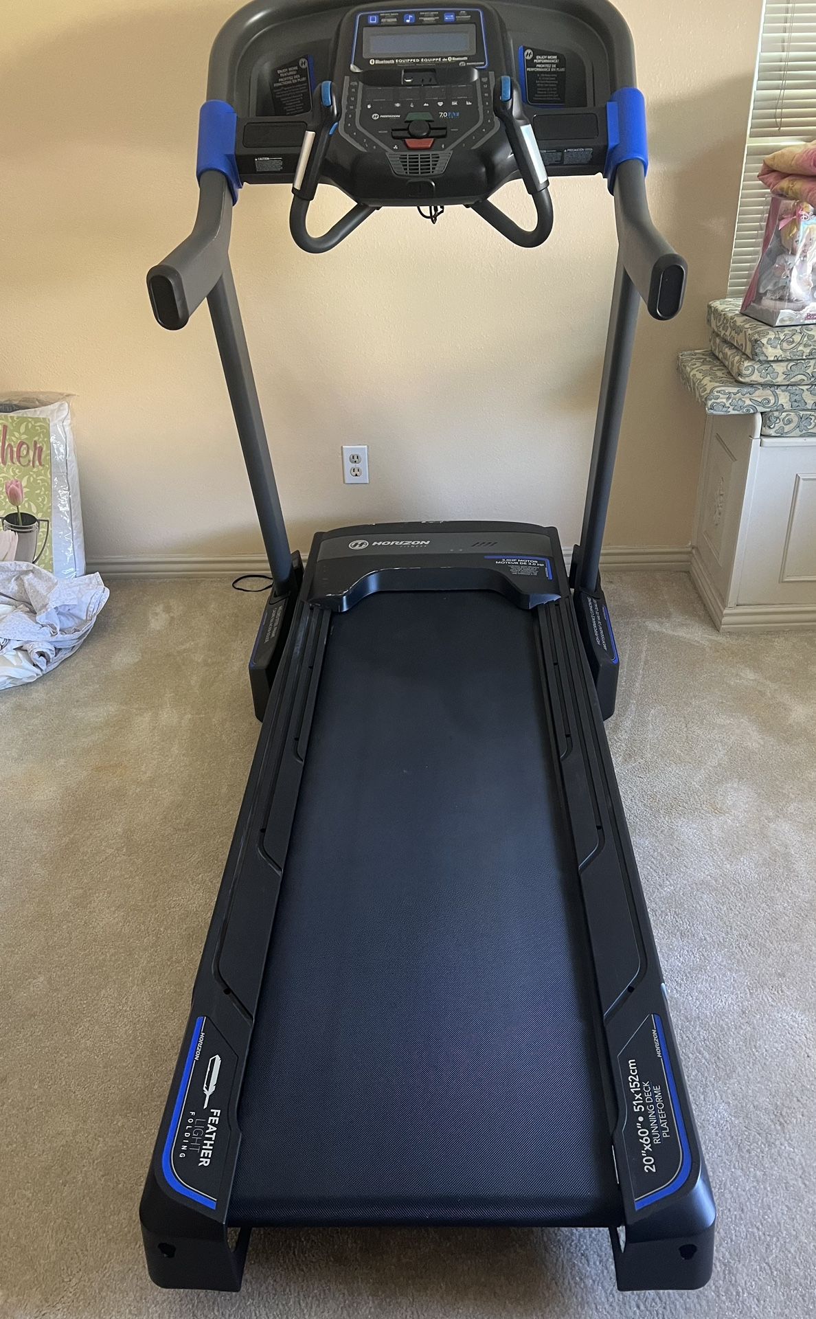 Horizon Treadmill