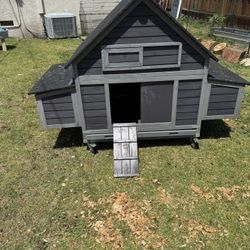 Chicken Coop 6 Nests
