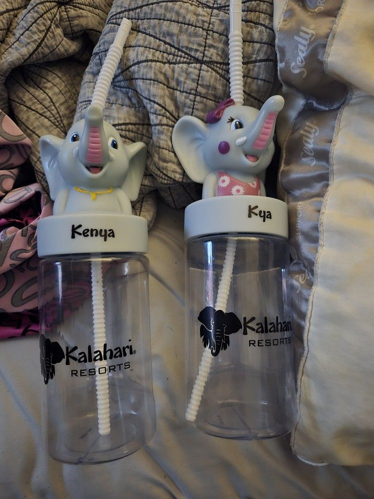 Kalahari Resorts Elephant Cups
