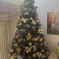 9 ft. Pre-lit Fraser Fur Christmas Tree