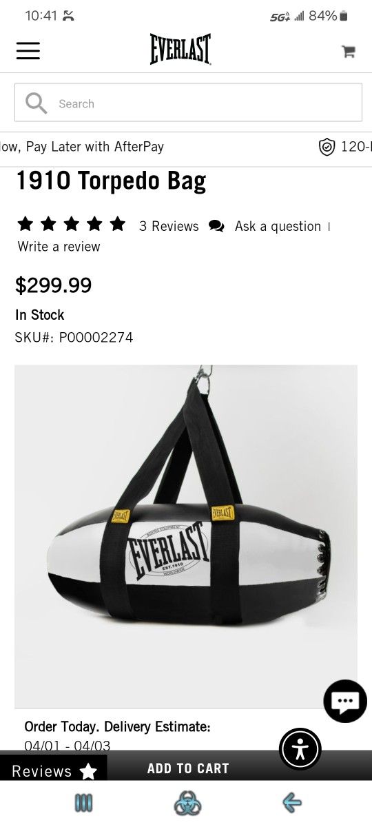 Everlast Torpedo Bag