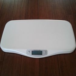 Like New  Scale In Weeki Wachee Spring Hill