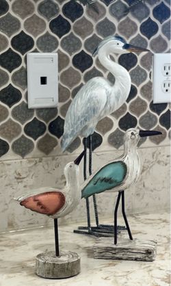 3 coastal shore birds