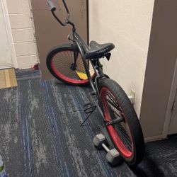 Big Tire Bike Colby Cruiser USA