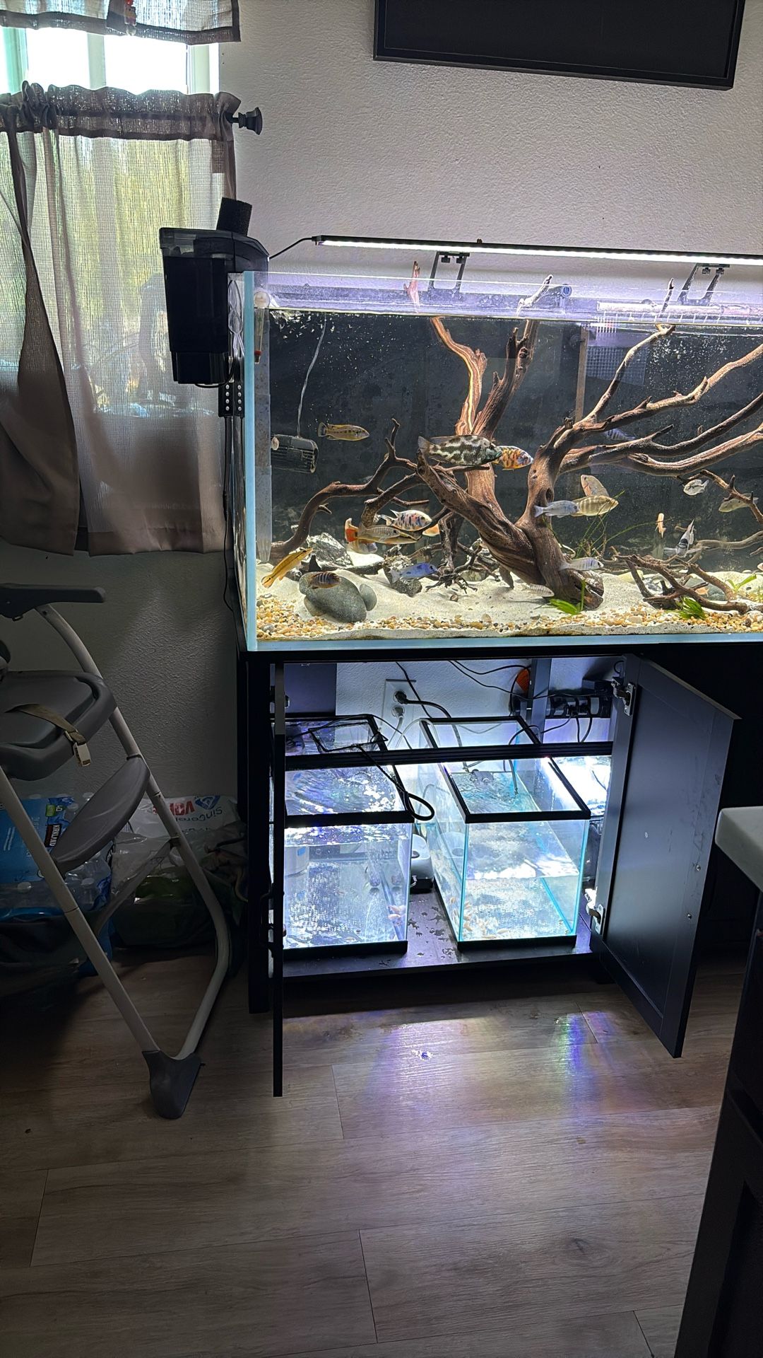 Fish Tank / Aquarium