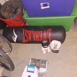 Everlast Punching Bag With Gloves