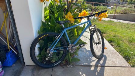 Unreal deal mountain bike.