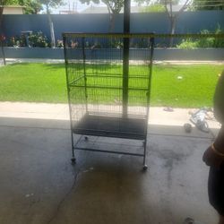 Bird Cage