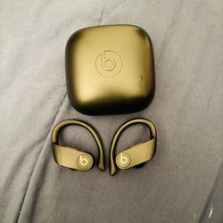 Beats Powerbeats Pro
