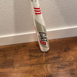 Cat 8 Baseball Bat