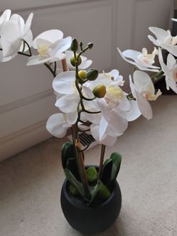 Faux orchids