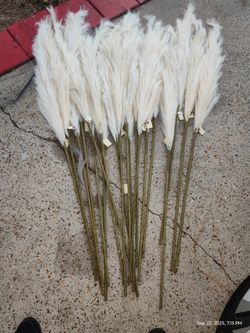 Faux Natural pampas grass