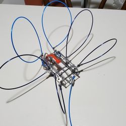 CRAB SNARE