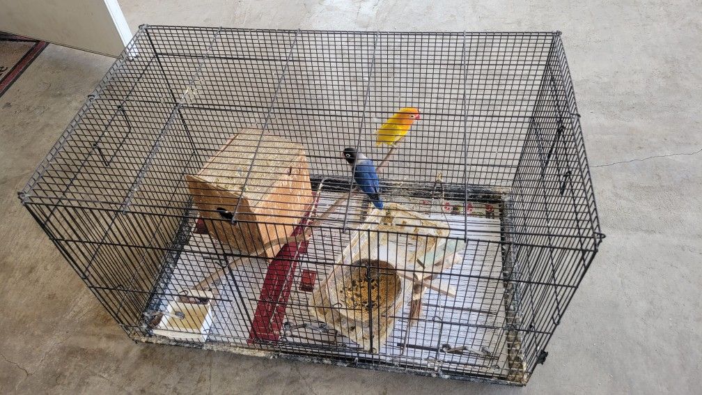 Bird Cage