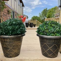  Very Gorgeous 2 Pots  Only 