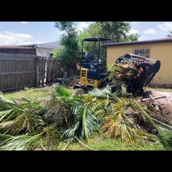Stump Removal, Landscaping And More