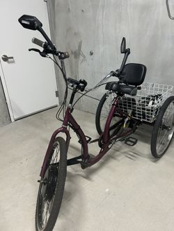 Adult Electric Tricycle