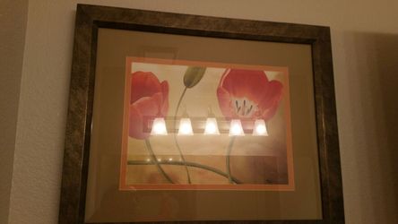 beautiful picture is very nice expensive frame